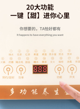 万利达养生壶热水壶煮茶器烧水壶煎药壶多功能养生壶家用烧水壶