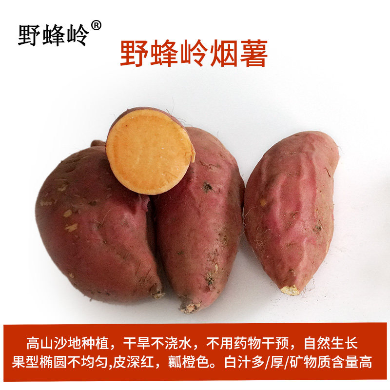 野蜂岭香蜜薯流油糖心烤红薯新鲜25 野蜂岭番薯