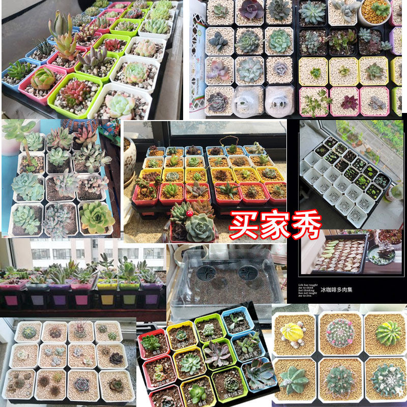 多肉绿植小黑方托架塑料花盆盆景架简约花架底托大方地面蓄水托盘,淘宝优惠券,粉丝福利购,淘宝优惠卷