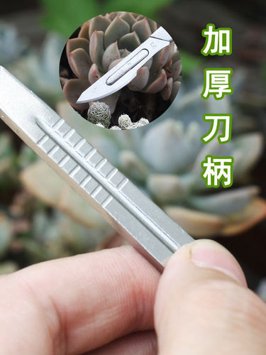 艺术秀园艺多肉砍头刀嫁接刀工具组合芽接刀不锈钢月季嫁接十二卷 - 图1