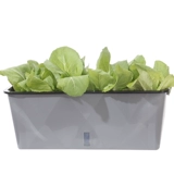 Ленивый самооборотный вид воды, грейпфронты, шелковик 涫 家 籼ㄅ 籼ㄅ 柙 衿 衿 衿 衿 衿 衿 衿 衿 衿 衿 衿 衿