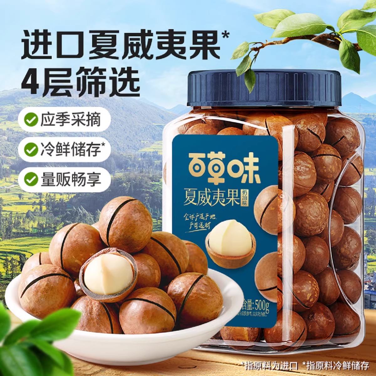 百草味夏威夷果500gX2罐装奶油味大颗粒坚果干炒货健康零食品小吃 - 图1