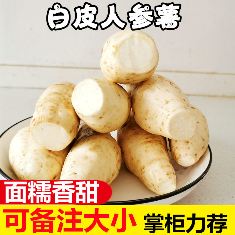 小球娃旗舰店白皮白心人参薯5斤当季红薯新鲜沙地薯白皮蜜薯薯整箱地瓜山芋100