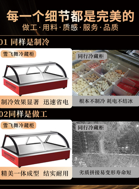 雪飞舞三轮车移动摆摊冷藏冷冻凉菜展示柜烧烤熟食炸串卤菜保鲜柜
