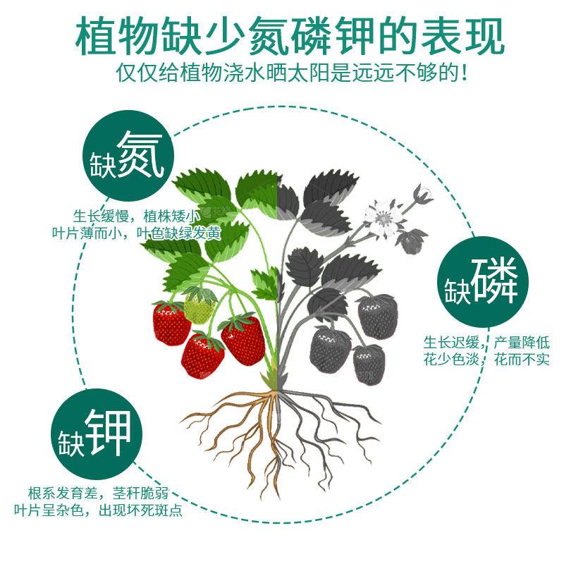 复合肥蔬菜农用种菜果树盆栽绿植氮磷钾水溶化肥家用通用型花肥料