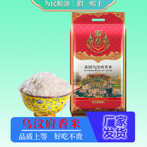 Taihuangfu Wenfu jasmine rice 10KG Thai raw grain imports Long grain rice jasmine rice jasmine Thai rice 20 catty
