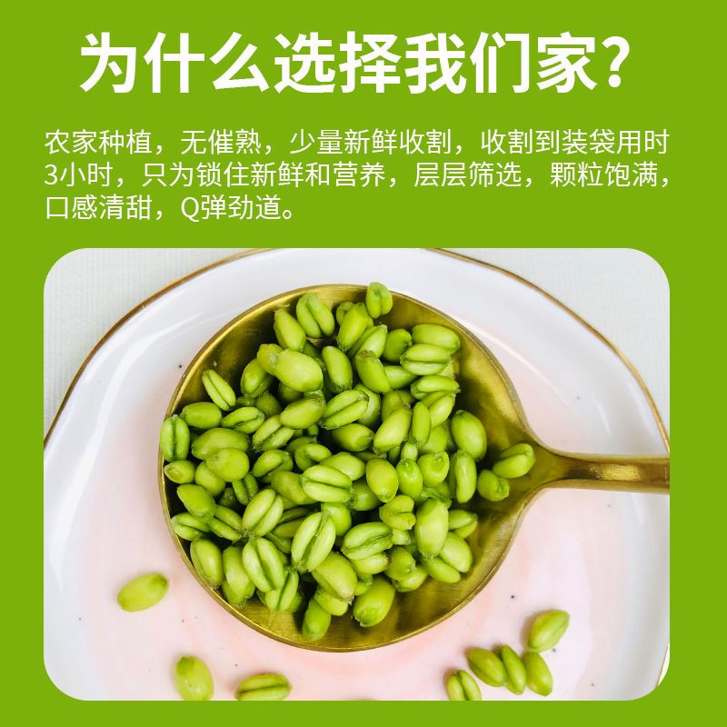 2023新鲜青麦仁青麦粒麦穗自产麦子青小麦嫩麦籽即食鲜绿麦仁5斤 - 图1