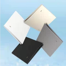 Europswitch T01 switch panel frosted grey black white champagne large plate Nordic grey panel-tea garden