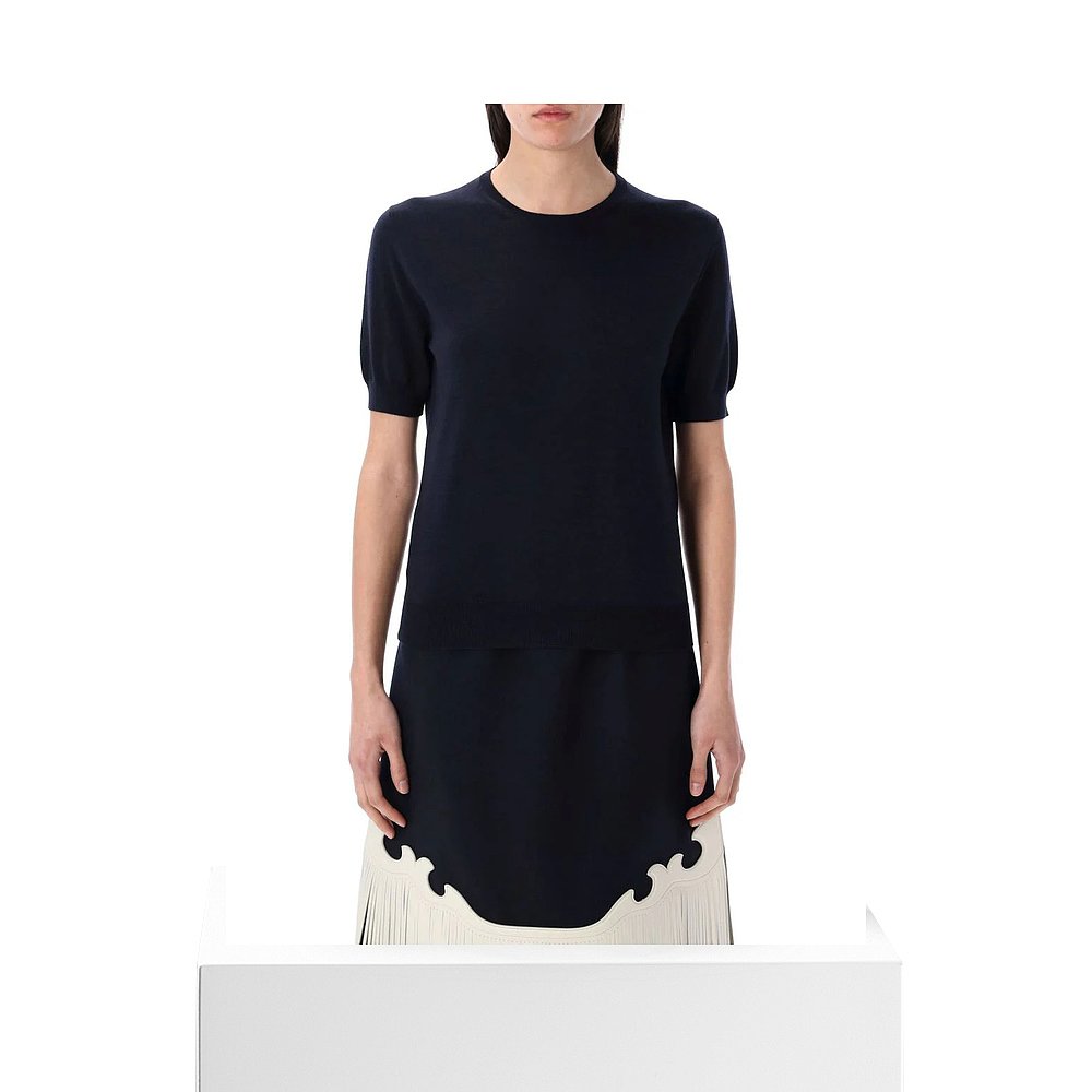 1h可退 香港直邮PRADA 女士针织衫 25PP24Q2I165PF0008 SS2025 蓝 - 图3