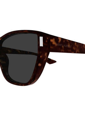 潮奢 Saint Laurent 圣罗兰 女士 SL 758 col. 002 雪茄色灰色太