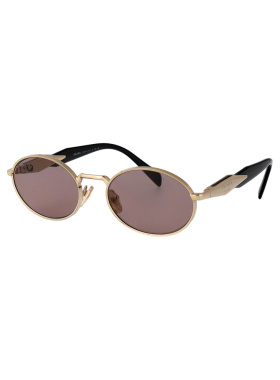 PRADA 女士太阳镜 0PR65ZSZVN20I SS2026 棕色 0P【付后1h可退】