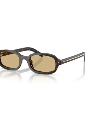 PRADA 女士眼镜 PRD06S17N70R CO 花色 全框太阳镜