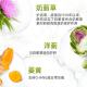 Hong Kong direct mail swisse milk thistle ເມັດປ້ອງກັນຕັບນອນເດິກ ບຳລຸງຕັບ ແກ້ອາການເມົາຄ້າງ 180 ເມັດ ນຳເຂົ້າ