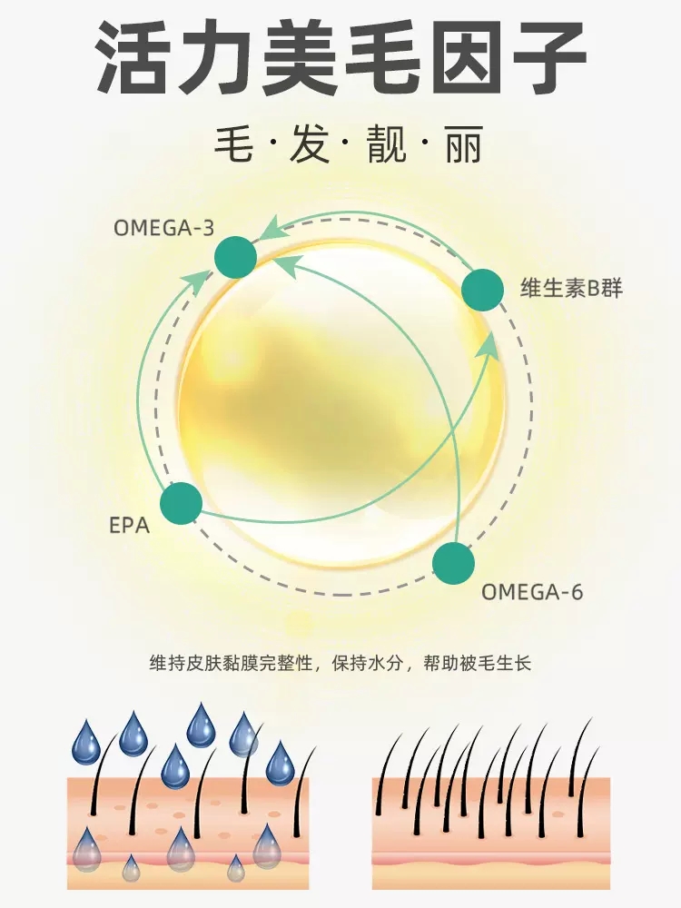 佩玛思特成猫粮2kg管理毛球毛发英短美短佩玛斯特成年猫主粮营养
