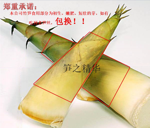 正宗广西柳州臭酸笋螺蛳粉配料桂林米粉即食商用配菜红油酸笋 - 图2