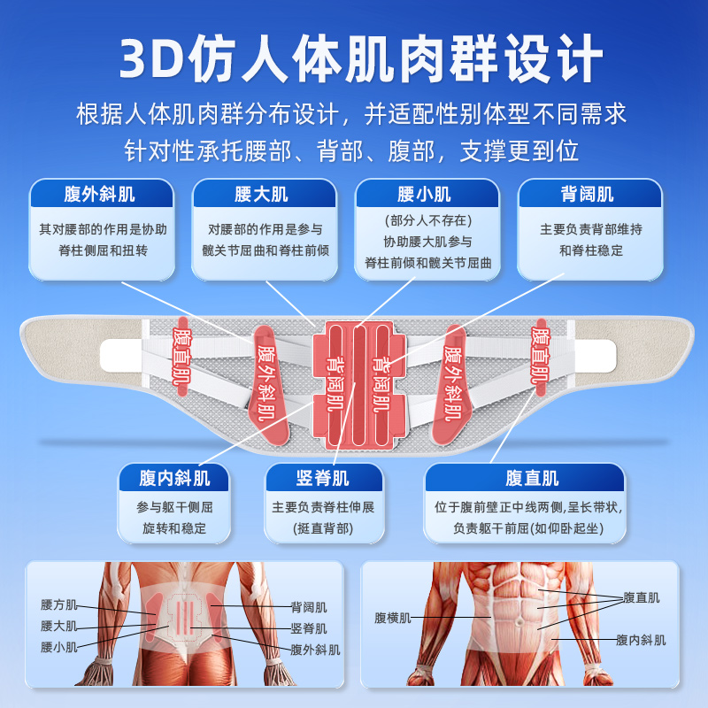 俞兆林护腰腰带保暖腰椎间盘突出医用腰托护腰带男士女士专用久坐