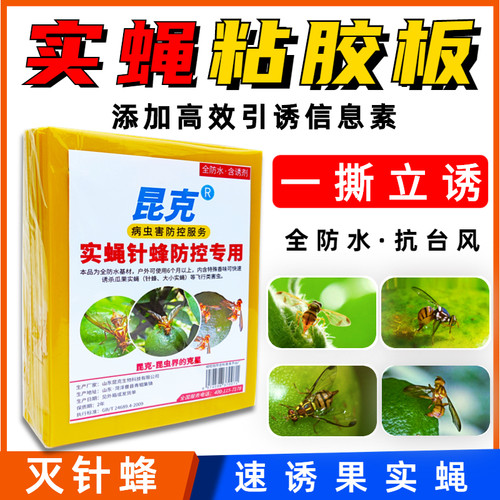 昆克瓜果实蝇粘胶板杀果苍蝇针蜂贴蜜锋诱捕器性引诱药剂黄粘虫板 - 图1