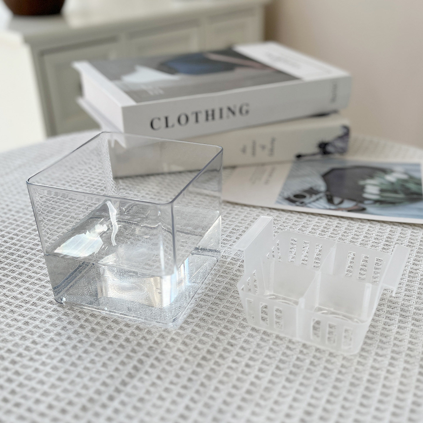 水培郁金香塑料花盆水养种球玻璃器皿含定植篮透明郁金香花瓶,淘宝优惠券,粉丝福利购,淘宝优惠卷