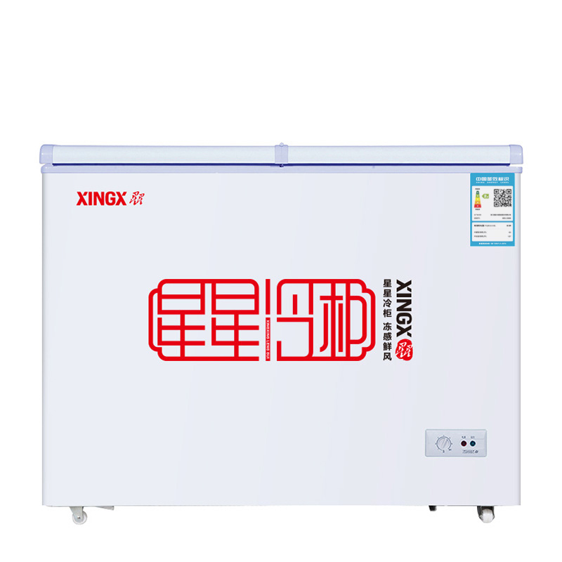 XINGX/星星 BCD-230HE双温冰柜家用小型保鲜冷冻两用商用卧式冷柜 - 图3