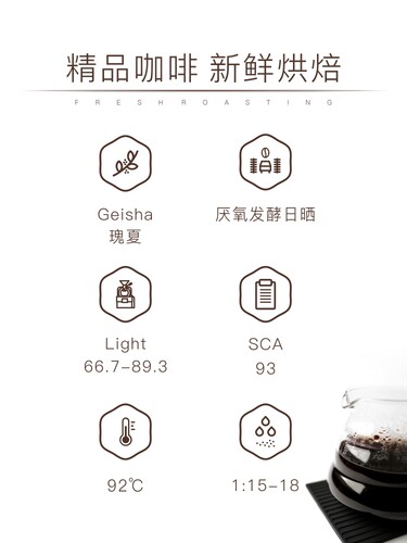 斯奔 巴拿马詹森庄园瑰夏咖啡艺妓厌氧日晒精品咖啡豆可磨粉 - 图1