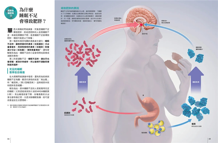 现货睡眠科学：为何总是睡不好？解析睡眠与梦境、记忆的关系人人伽利略31 22伊之文人人出版进口原版-图2