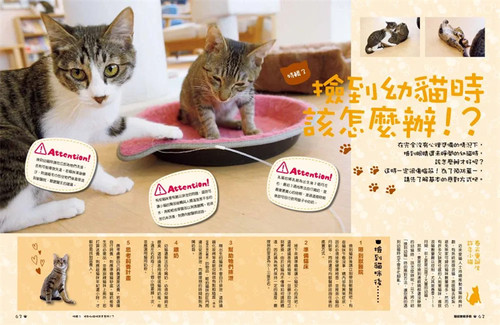 现货正版 原版进口图书 笠仓出版社《猫奴教战手册》枫书坊 - 图3