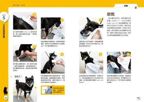 现货 正版 原版进口图书 狗狗大联盟柴犬小学堂 枫叶社文化 加藤 原版进口 柴犬新手百科 爱犬成长时间为轴的贴心编排 科学教养 - 图1