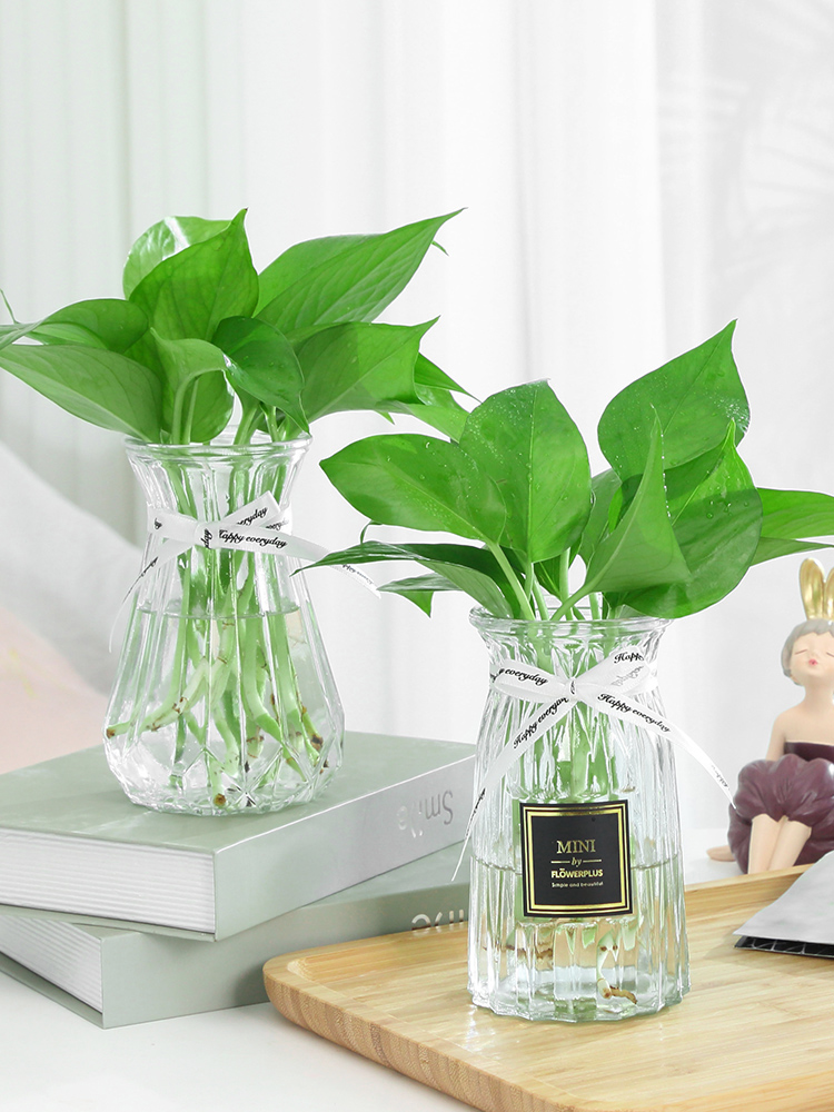 3个9.9元 加厚玻璃花瓶透明北欧ins风创意水培植物绿萝水养插花器 - 图1