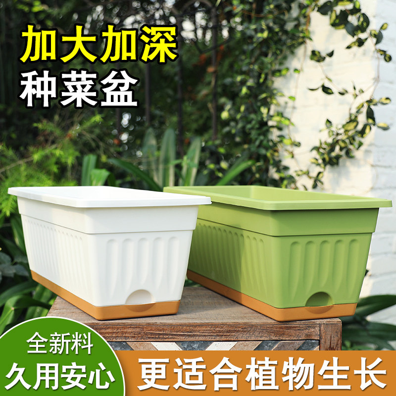 种菜神器家庭阳台种菜盆蔬菜长方形花盆塑料长条盆草莓盆栽种植盆,淘宝优惠券,粉丝福利购,淘宝优惠卷