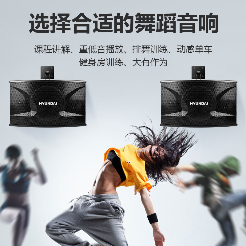 现代h10会议重低音家庭ktv音响 华睿影音KTV/卡拉OK音箱