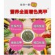 ອາຫານເຕົ່າ, ອາຫານເຕົ່າ, ອາຫານເຕົ່າຈີນ, ຄວາມສົມດຸນທາງໂພຊະນາການ
