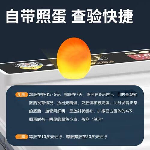 全自动小鸡鸡鸭鹅孵化器小型家用孵化箱鸽子鹦鹉孵蛋器全自动智能 - 图0