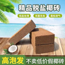 Christmas Tree Special Coconut Brick Earth (Shop Long planting soil recommended) breathable organic