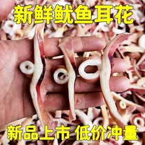 Squid squid Squid Squid Tail Flowers Little Feig Squid Squid Fish Silk Fresh Frozen Without Ice Clot Family Catering