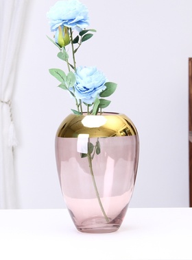 简约现代创意玻璃花瓶描金水培插花瓶北欧客厅餐桌家居装饰品