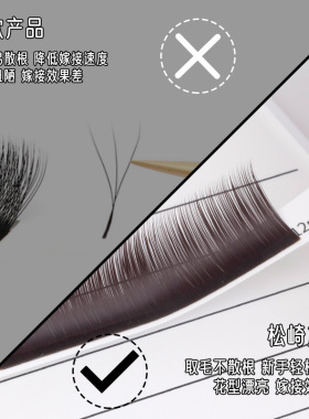 山茶花嫁接睫毛高端美睫店专用款
