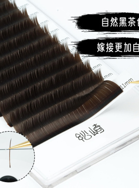黑茶色双尖扁毛上眼易服帖单根软