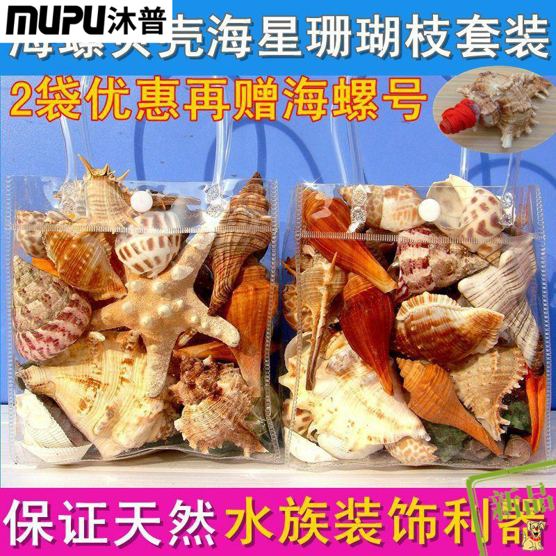 新款$天然海螺贝壳海星珊瑚套装 沐普摆件