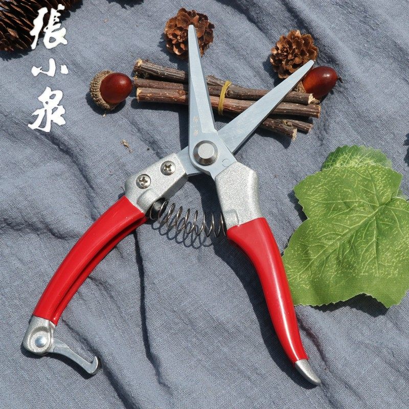 张小泉花剪 园艺剪刀修枝剪摘果器葡萄剪刀花椒剪采果剪稀果剪子,淘宝优惠券,粉丝福利购,淘宝优惠卷