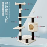 Кошачья стойка