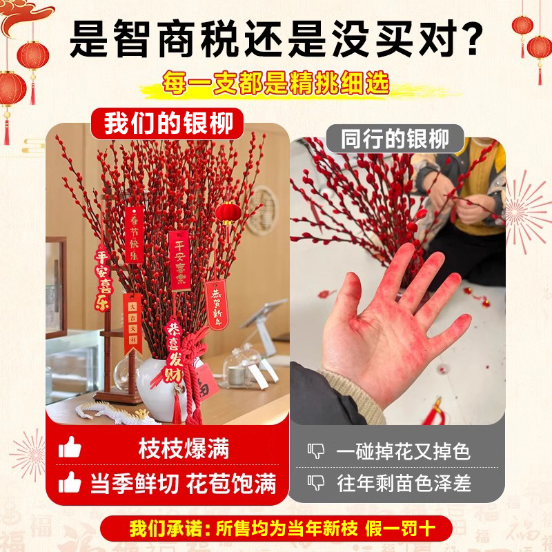 【渠道专享】银柳真花鲜枝干花摆件鲜花绿植物新年宵花卉过年盆栽