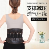 Поясничный поясничный поясничный лоток теряет мужчин и женщин, специализированного на медицинском поясничном поясничном поясничном поясничном пояснице