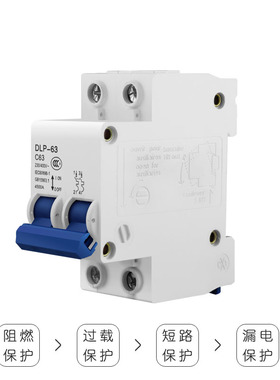 国际电工空气开关小型断路器63A总空开家用1P短路保护2P空调电闸