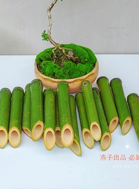 带竹节竹筒纯天然喂药装水竹筒斜切装饰天然竹管非空心竹筒