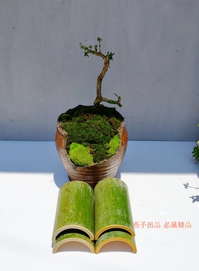 无竹节半竹筒瓦片空心竹子对半开中式造型婚庆生日环创国风装饰