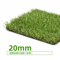 CCGrass Create artificial simulation lawn 20mm carpet fake turf kindergarten gymnasium commercial football pitch