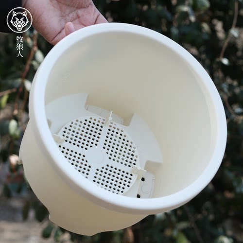 牧狼人塑料花盆朱顶红铃兰花矮牵牛天竺葵球根草花盆栽专用种植盆 - 图1