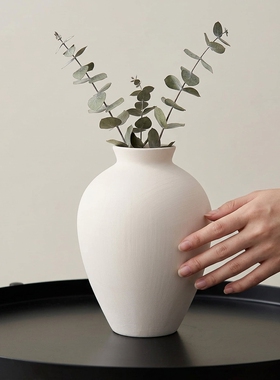 简约陶瓷花瓶客厅摆件水培插花