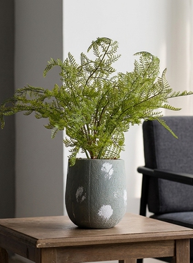 室内桌面清新自然小盆栽摆件