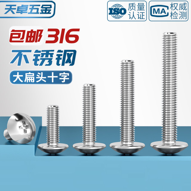 316 large flat head Phillips screw